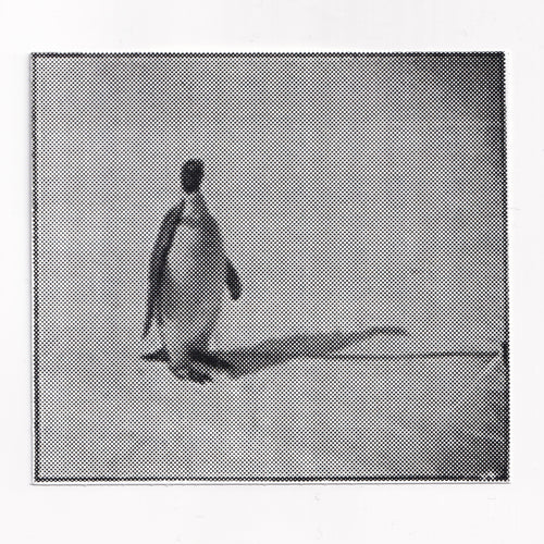 Penguin Interviews Sticker