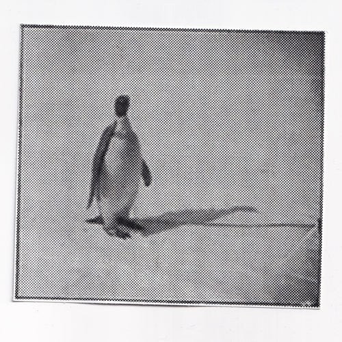 Penguin Interviews Sticker